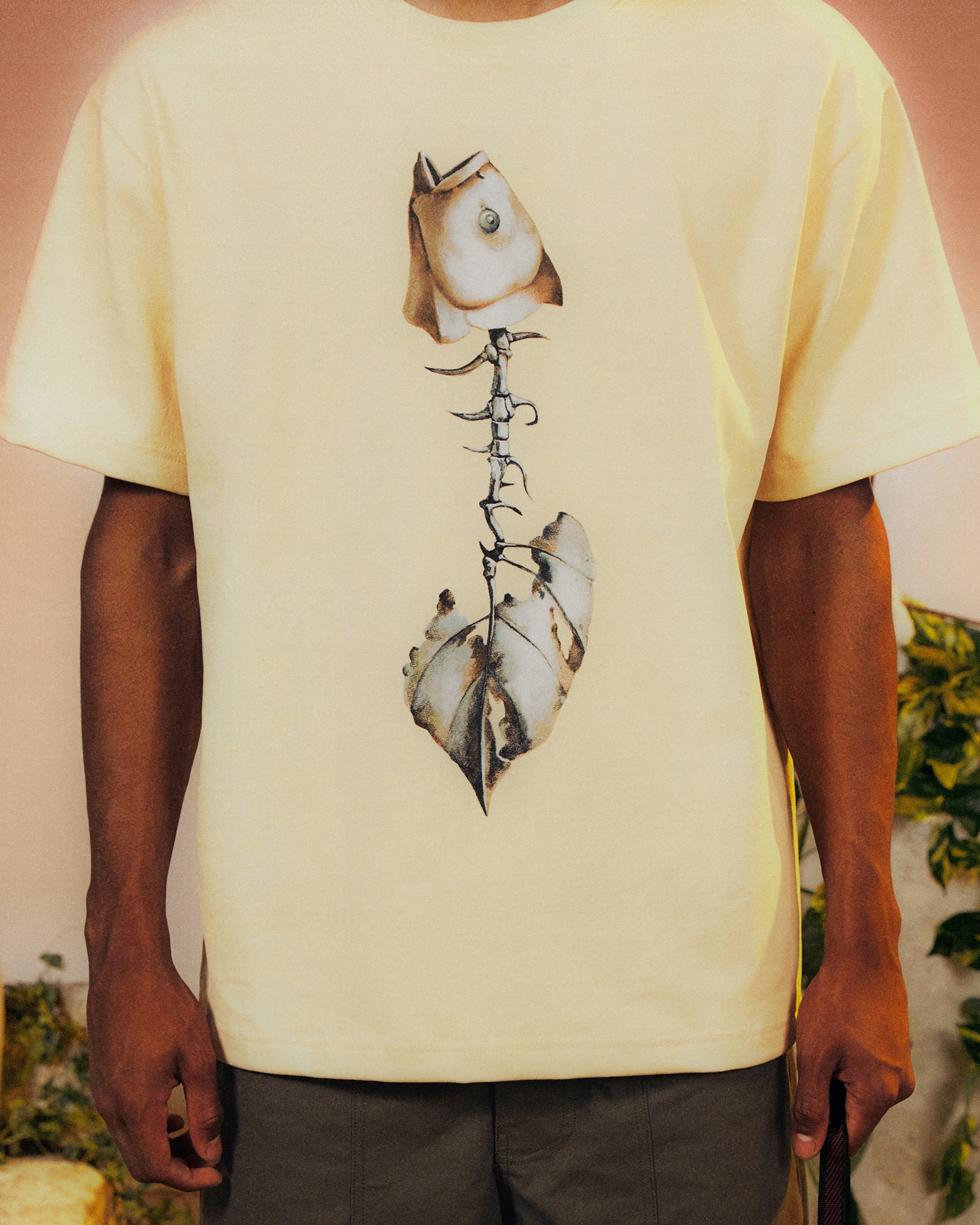 Spine Tee Shirt (Cream)